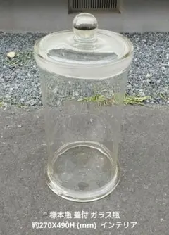 2026年最新】標本瓶の人気アイテム - メルカリ