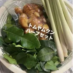 2026年最新】ガランガル苗の人気アイテム - メルカリ