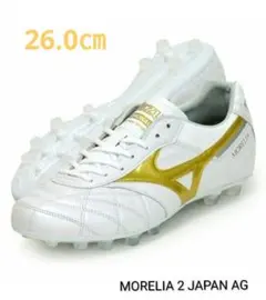 2026年最新】モレリア2 26.0の人気アイテム - メルカリ