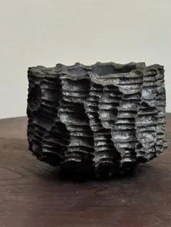 2026年最新】raw_life_factoryの人気アイテム - メルカリ