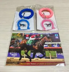 フォーエバーヤング ブリーダーズカップ レーシングプログラム - メルカリ