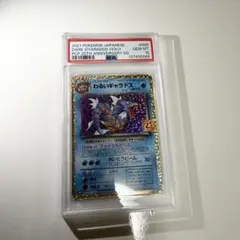 2026年最新】わるいギャラドス psa10の人気アイテム - メルカリ