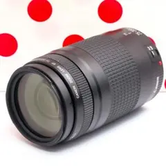 2026年最新】超望遠レンズ canonの人気アイテム - メルカリ