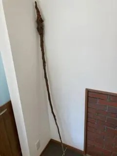 2026年最新】アカザの杖の人気アイテム - メルカリ