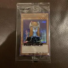 2026年最新】ブルシク ホーリーエルフの人気アイテム - メルカリ