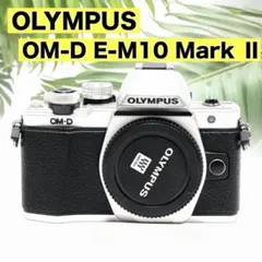 2026年最新】om-d e-m10の人気アイテム - メルカリ