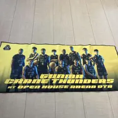 2026年最新】群馬クレインサンダーズ タオルの人気アイテム - メルカリ