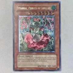 2026年最新】ティタニアル レリーフの人気アイテム - メルカリ