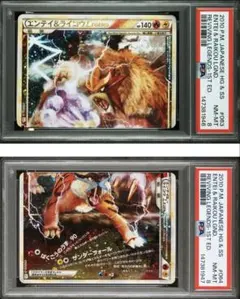 2026年最新】エンテイ&ライコウ legend psa10の人気アイテム - メルカリ