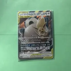 2026年最新】イーブイ&カビゴンgx srの人気アイテム - メルカリ