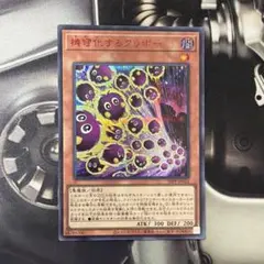 2026年最新】赤シクの人気アイテム - メルカリ