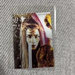 2026年最新】hide トレーディングカードの人気アイテム - メルカリ