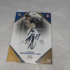 2026年最新】サイン 矢野謙次の人気アイテム - メルカリ