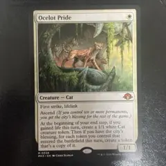 2026年最新】オセロットの群れの人気アイテム - メルカリ