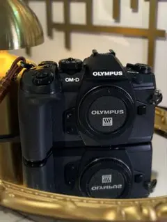 2026年最新】Olympus om-d e-m1 mark iiの人気アイテム - メルカリ