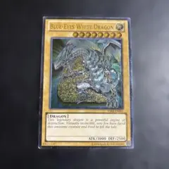 2026年最新】青眼の白龍 英語 レリーフの人気アイテム - メルカリ