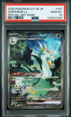 2026年最新】ジャローダ psa10の人気アイテム - メルカリ