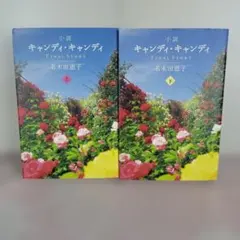 2026年最新】キャンディキャンディ ファイナルストーリーの人気