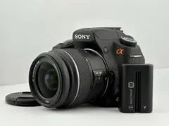 2026年最新】Sony α200 DSLR-A200の人気アイテム - メルカリ