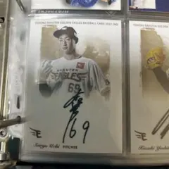 2026年最新】内星龍 直筆の人気アイテム - メルカリ