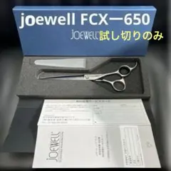 2026年最新】joewell シザーの人気アイテム - メルカリ