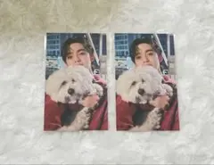 2026年最新】エスクプス クマ トレカの人気アイテム - メルカリ