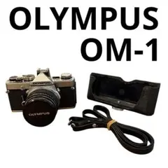 2026年最新】om-1ジャンクの人気アイテム - メルカリ