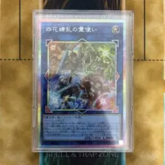 2026年最新】四花繚乱の霊使い シークレットの人気アイテム - メルカリ