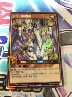 2026年最新】エタニティ・エーテルドラゴンの人気アイテム - メルカリ