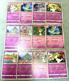 2026年最新】御三家sarの人気アイテム - メルカリ