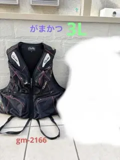 2026年最新】がまかつ ライフジャケットの人気アイテム - メルカリ