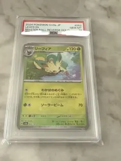2026年最新】リーフィア マスターボール psa10の人気アイテム - メルカリ