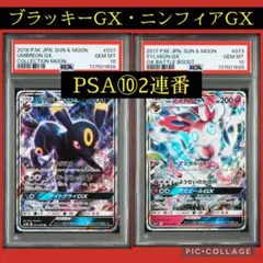 2026年最新】ブラッキー psa10 連番の人気アイテム - メルカリ