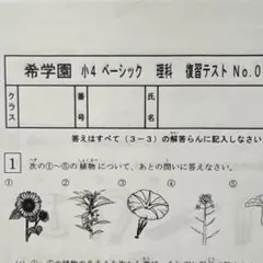 2026年最新】希学園 ベーシックの人気アイテム - メルカリ