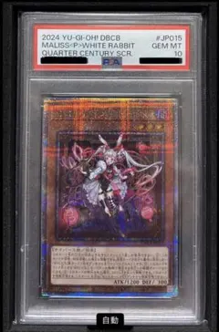 2026年最新】White Rabbit 25 psa10の人気アイテム - メルカリ