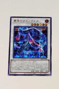 2026年最新】赤シクの人気アイテム - メルカリ