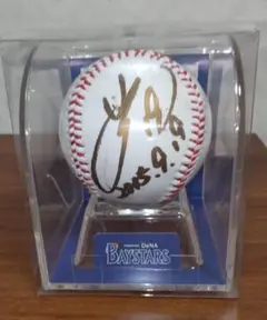 2026年最新】康晃 サインボールの人気アイテム - メルカリ