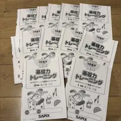 2026年最新】サピックス 基礎力トレーニング 6年の人気アイテム - メルカリ