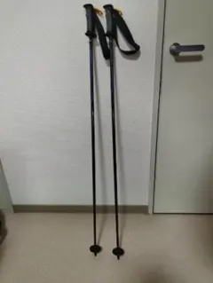 2026年最新】SWIX cobraの人気アイテム - メルカリ