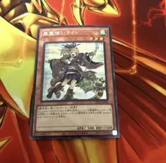 2026年最新】風霊使いウィン 絵違いの人気アイテム - メルカリ