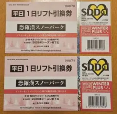 2026年最新】恐羅漢スノーパークの人気アイテム - メルカリ