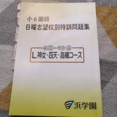 2026年最新】浜学園 小6 志望校別特訓問題集の人気アイテム - メルカリ