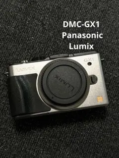 2026年最新】DMC-GX1 14-42の人気アイテム - メルカリ