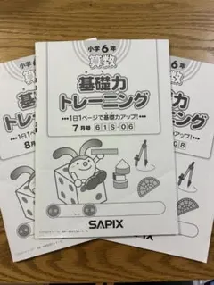 2026年最新】基礎力トレーニング サピックスの人気アイテム - メルカリ