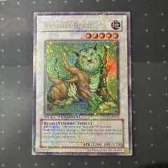 2026年最新】ナチュルビースト 英語の人気アイテム - メルカリ