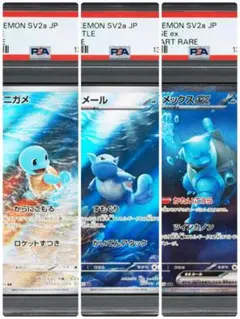 2026年最新】ゼニガメ ar カメールの人気アイテム - メルカリ