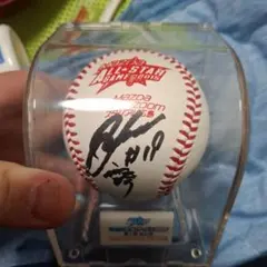 2026年最新】康晃 サインボールの人気アイテム - メルカリ