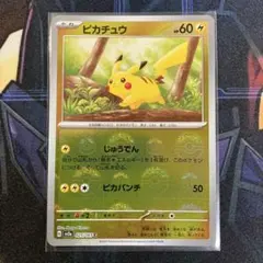 m23275770611_1.jpg?1770507741