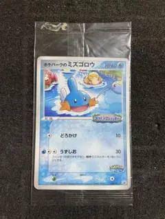 2026年最新】ポケパークのミズゴロウ048の人気アイテム - メルカリ