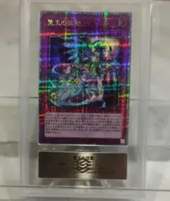 2026年最新】霊王の波動 シクの人気アイテム - メルカリ